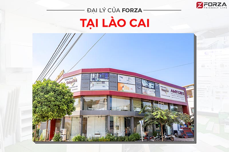Forza mở rộng hệ thống đại lý trên toàn quốc