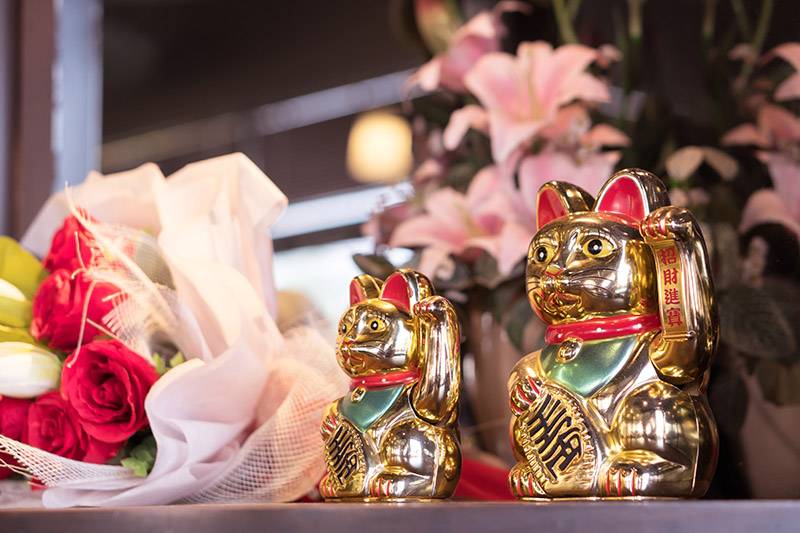 mèo thần tài trong cửa hàng