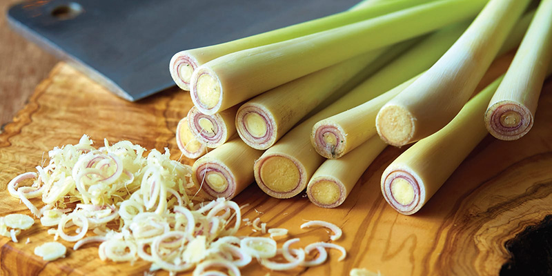Top 12 loại rau gia vị