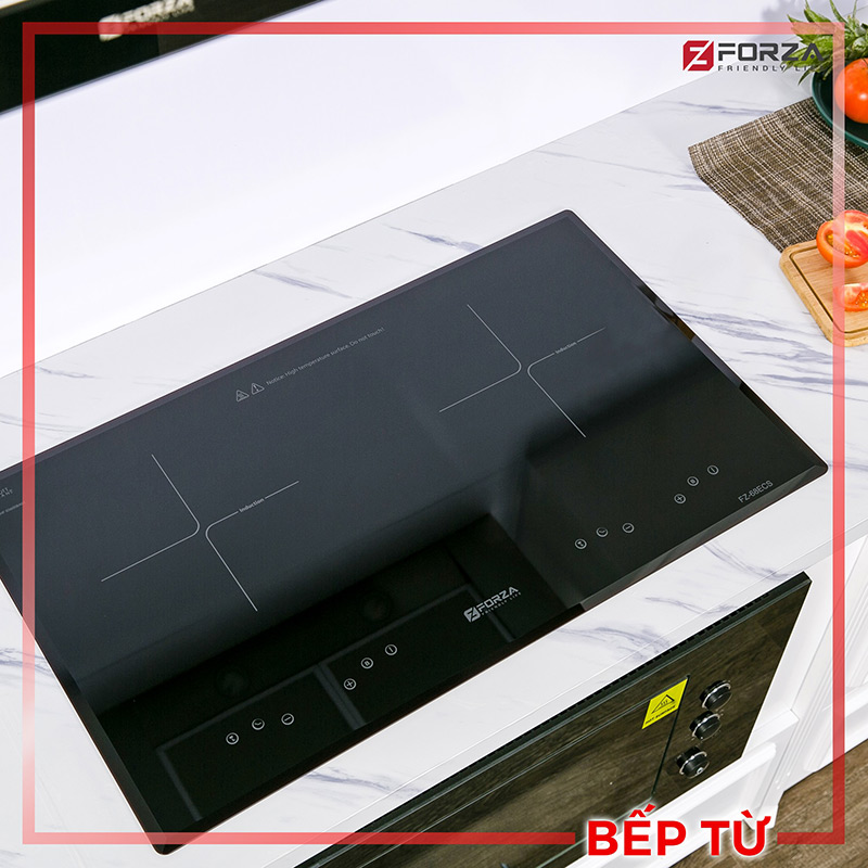 Sản phẩm Bếp đôi 1 từ 1 hồng ngoại FZ-69 EC