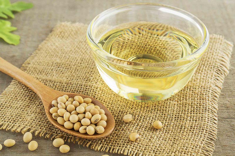 Dầu đậu nành và dầu ô liu là dầu thực vật