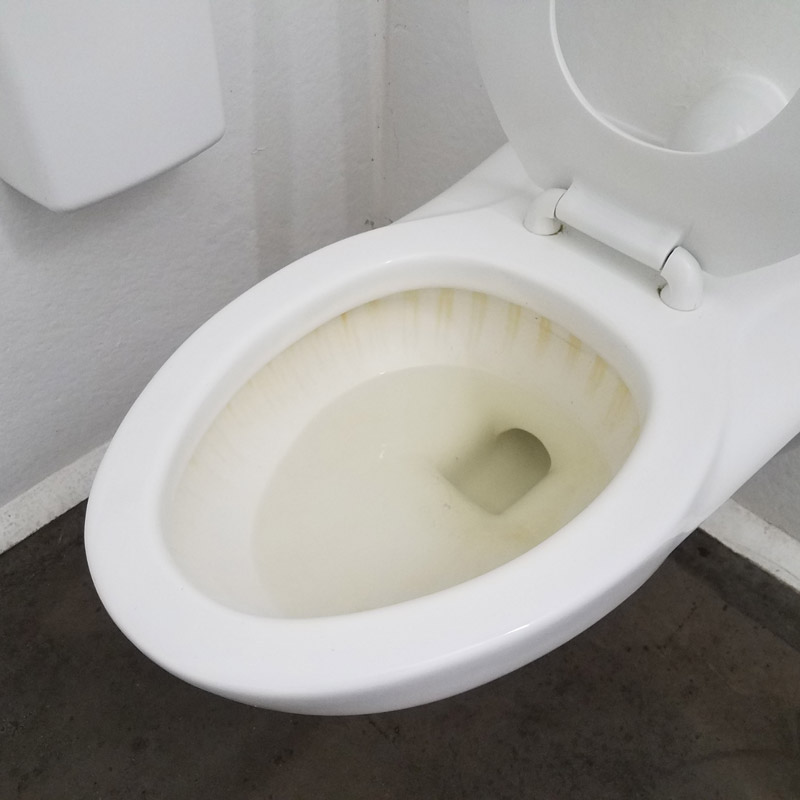 Nguyên nhân bồn cầu bị bốc mùi